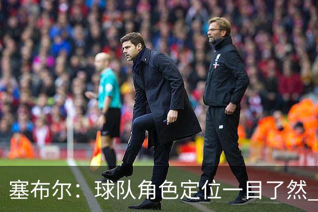 塞布尔：球队角色定位一目了然 球队体系帮助我们发挥长处