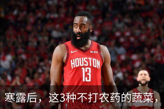 寒露后，这3种不打农药的蔬菜，再贵都要买，强身健体，增免疫