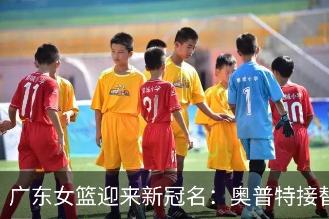 广东女篮迎来新冠名：奥普特接替新彤盛