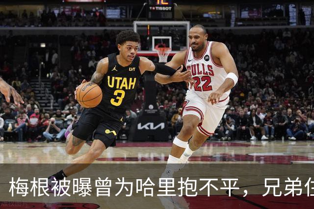 梅根被曝曾为哈里抱不平，兄弟住所差距明显，认为丈夫待遇应更好
