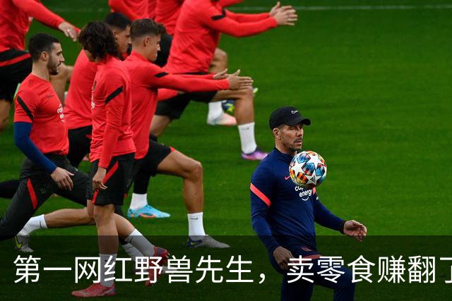 第一网红野兽先生，卖零食赚翻了