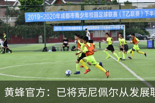 黄蜂官方：已将克尼佩尔从发展联盟召回 但他明日仍然因伤缺阵