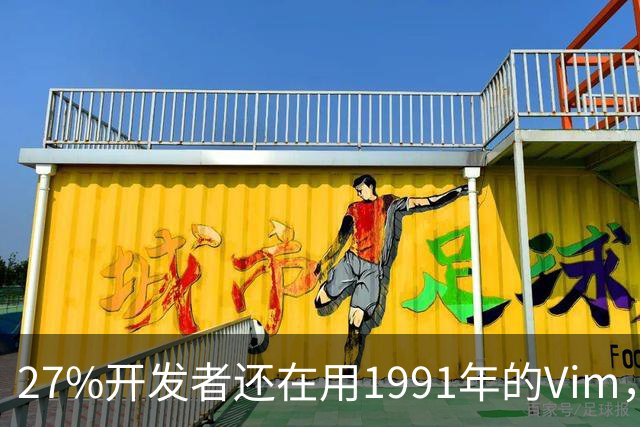 27%开发者还在用1991年的Vim，我也把VS Code放下了